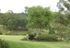 Six Mile Swampresidential-landscaping-40.jpg; ?>